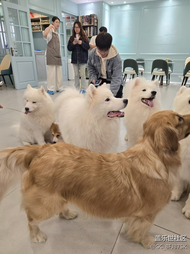 “成都星部落”的第六场线下活动