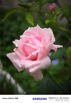 谷歌相机AGC8.4