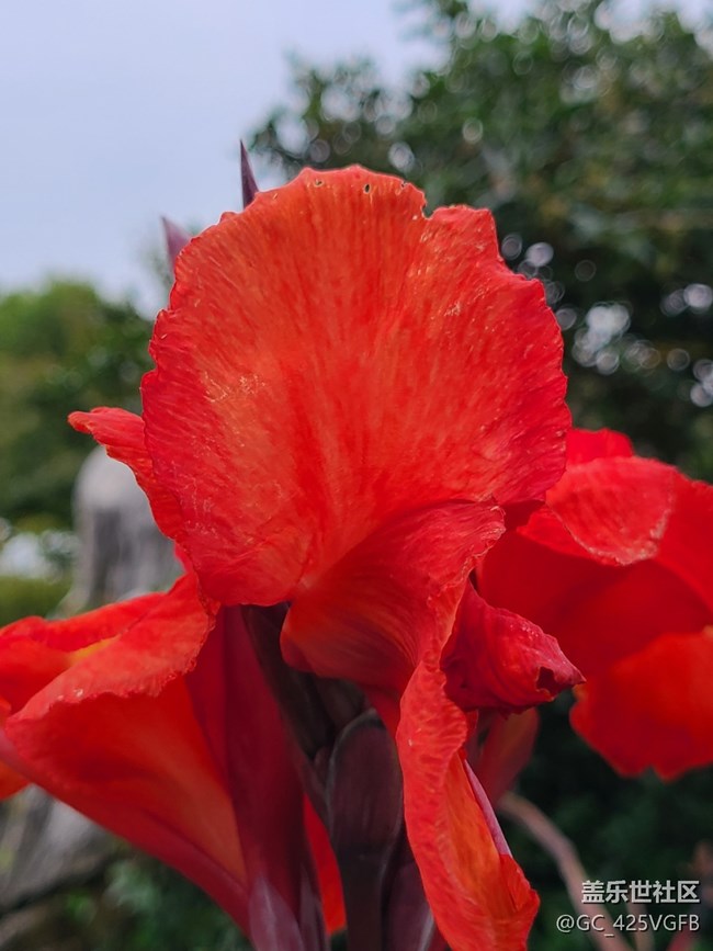 【十月的蜀国】+ 美丽十月