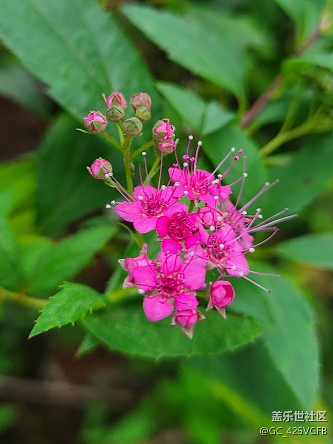 【十月的蜀国】+ 美丽十月