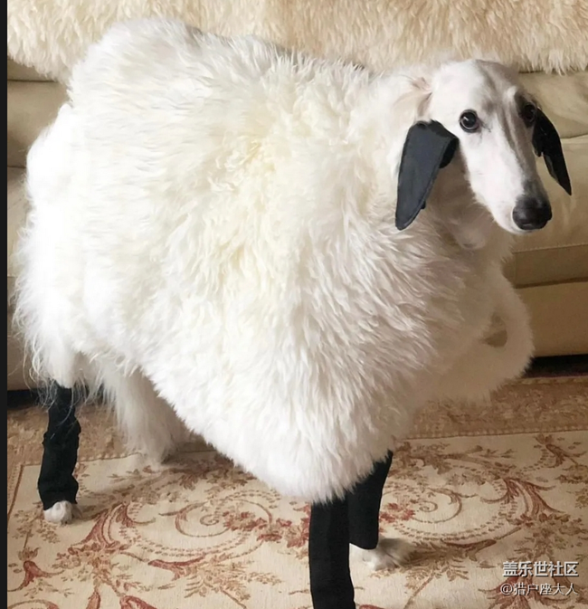 万圣节新COS