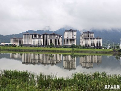 随手拍
