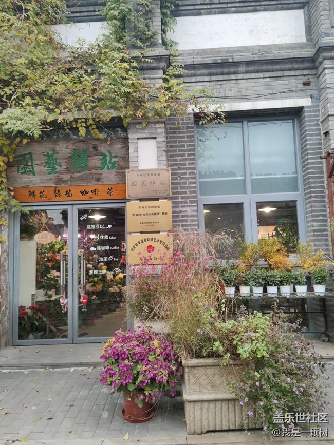 【北京胡同】+老北京胡同秋日初体验