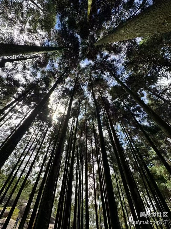 【Galaxy影像】自然的律动+ 进山