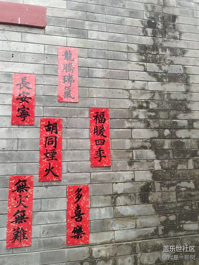 【北京胡同】+老北京胡同秋日初体验