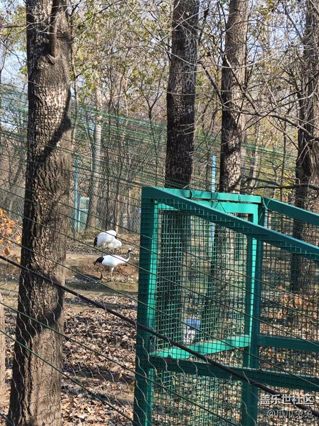 三星星部落鸟岛摄影活动回顾