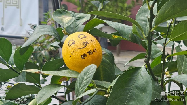 【北京胡同】+感受古韵魅力