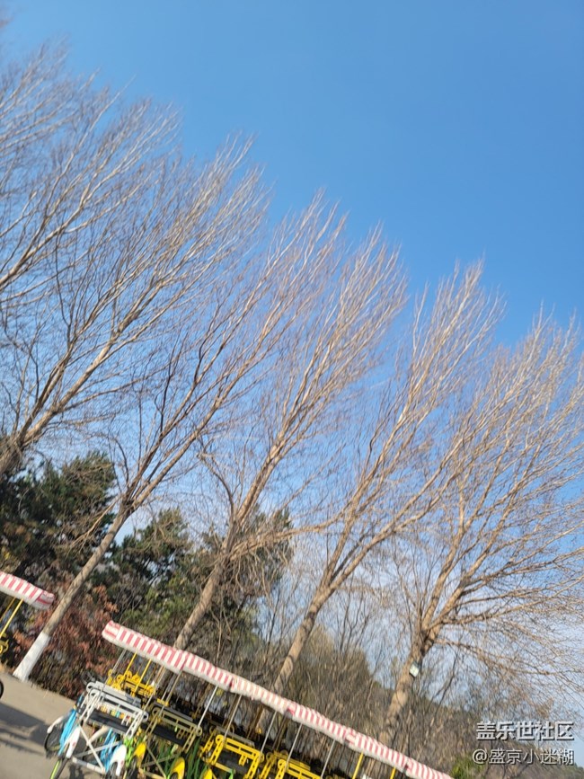 【沈阳星部落】【沈阳鸟岛一日游及三星手机拍摄体验】