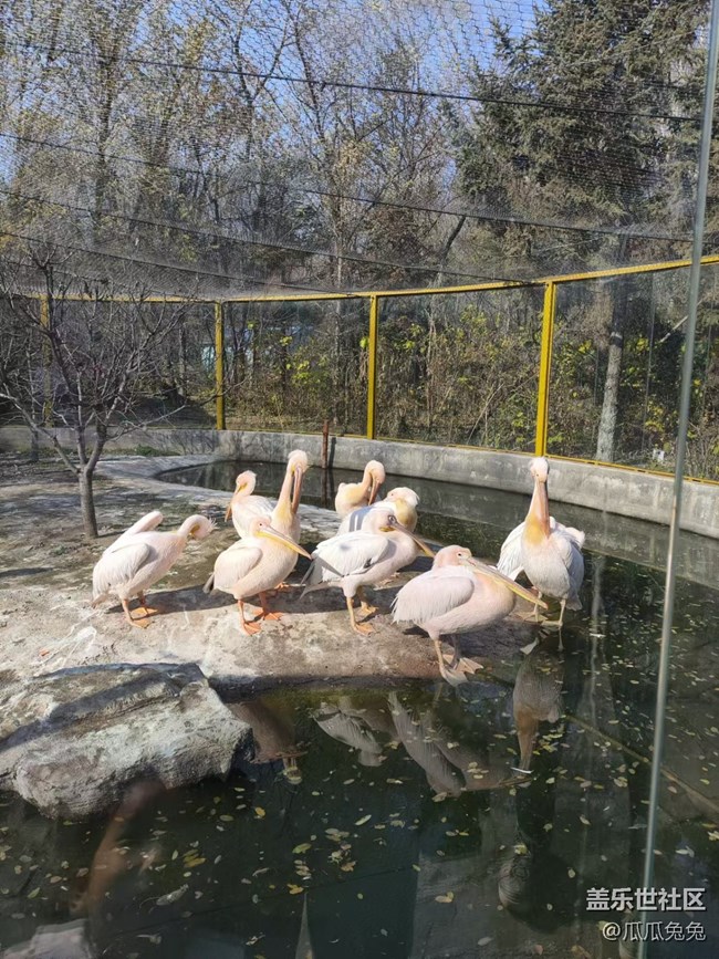 三星星部落鸟岛摄影活动回顾
