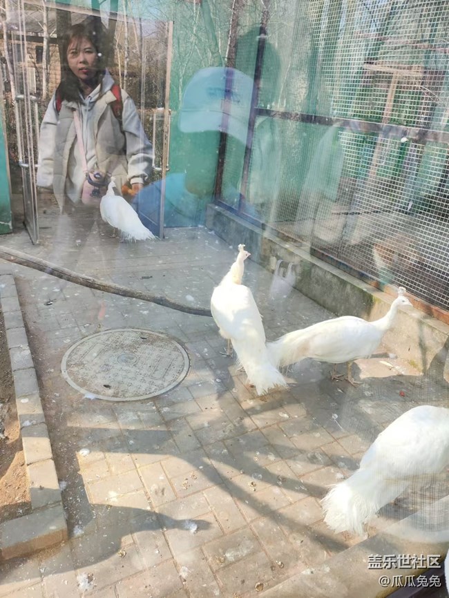 三星星部落鸟岛摄影活动回顾