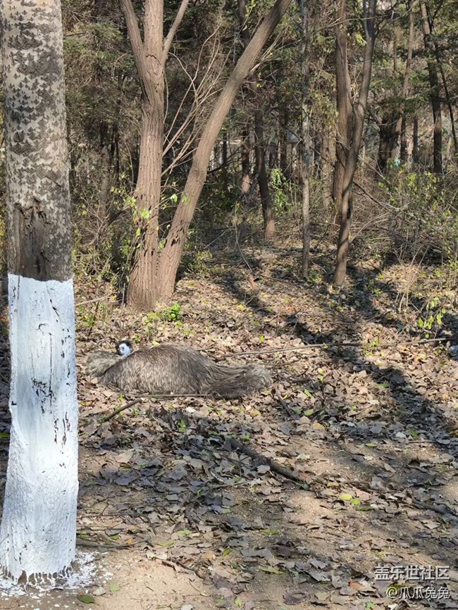 三星星部落鸟岛摄影活动回顾