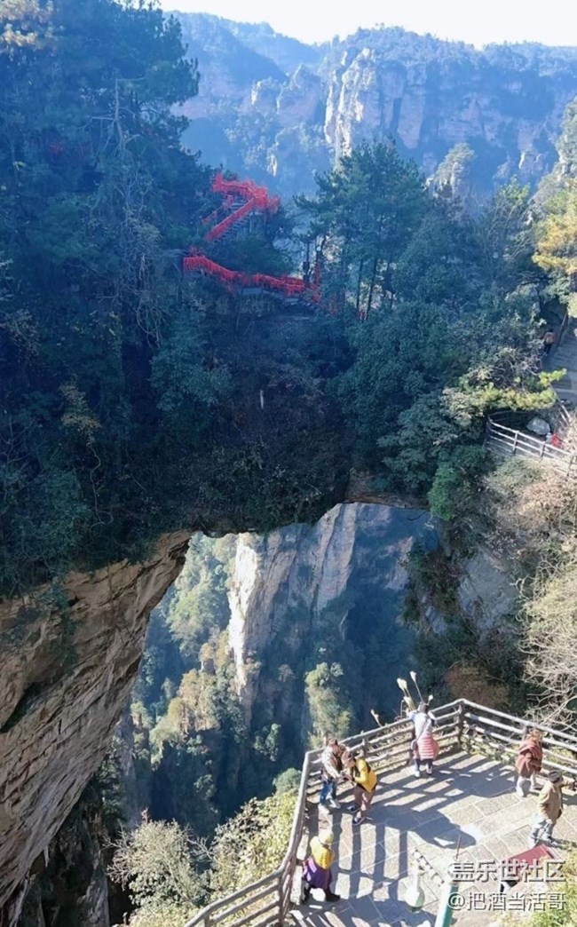 【秋意浓】风景区