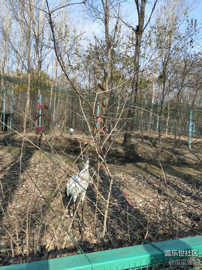 三星星部落鸟岛摄影活动回顾