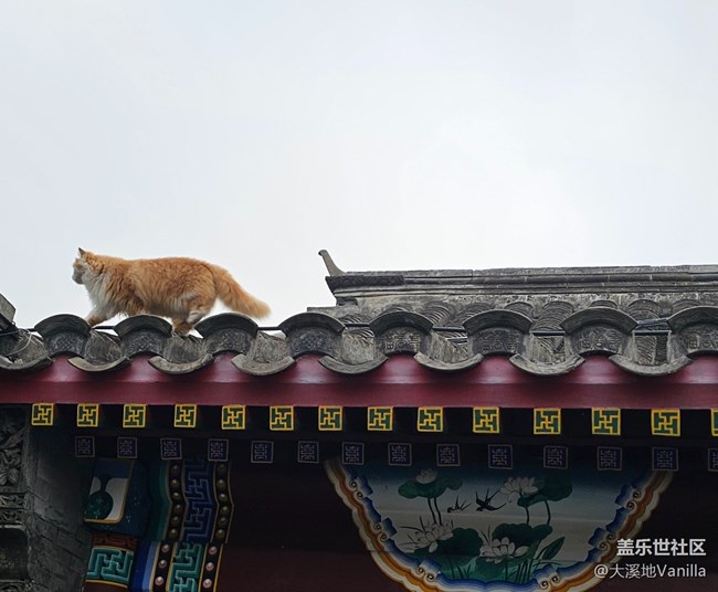 【北京胡同】+感受古韵魅力