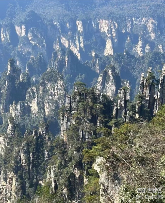 【秋意浓】风景区
