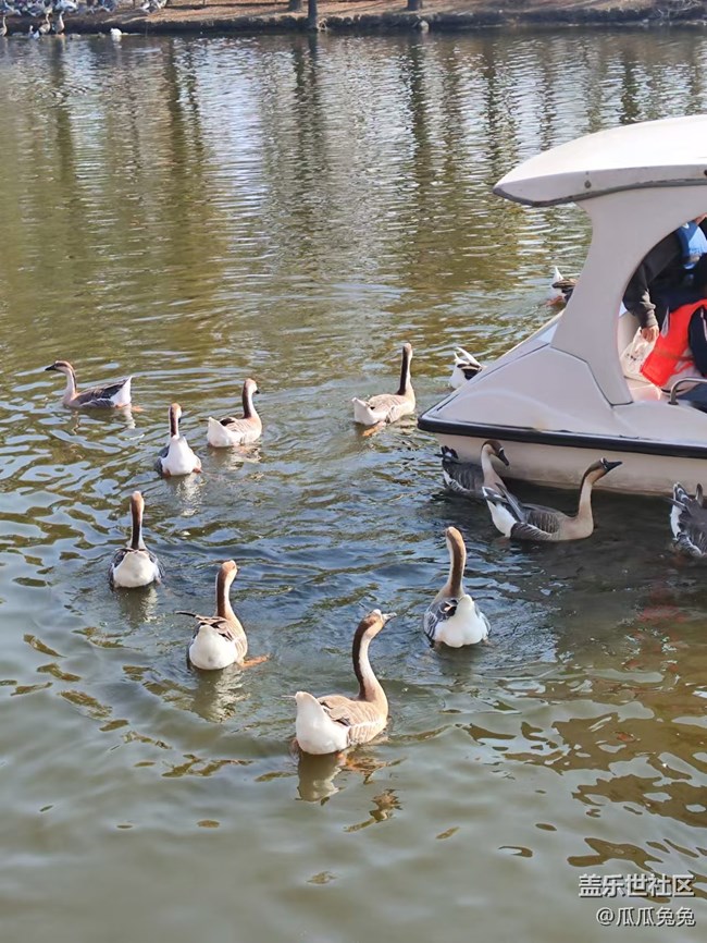 三星星部落鸟岛摄影活动回顾