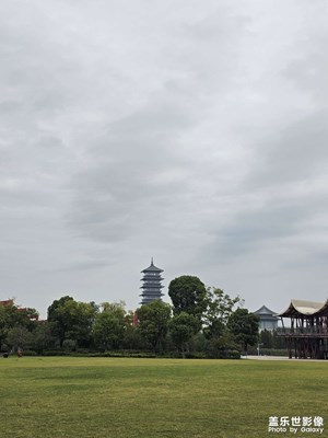 [生活礼赞]秋兴浓