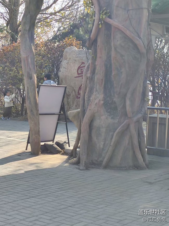 三星星部落鸟岛摄影活动回顾