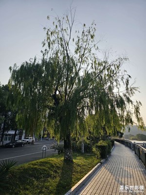 随手拍