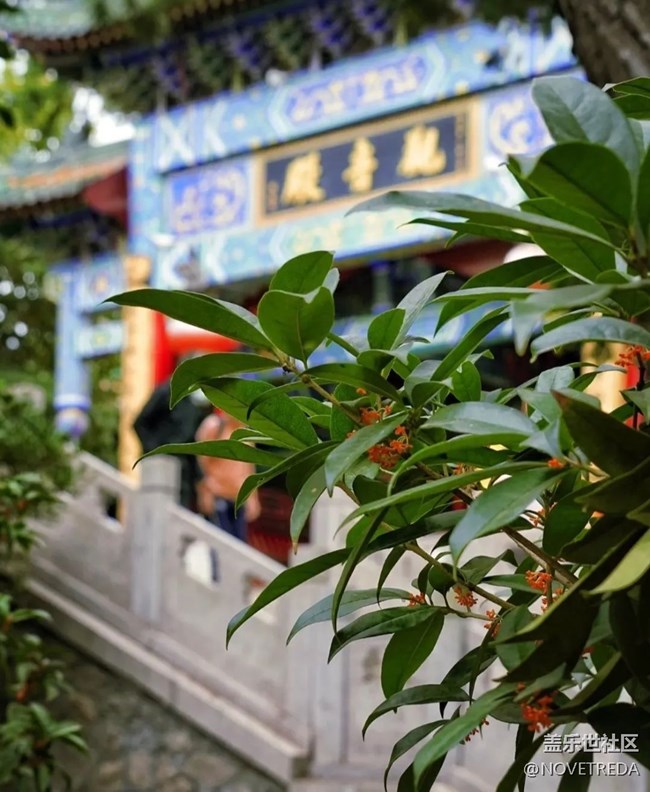 【名胜古迹】青岛湛山寺