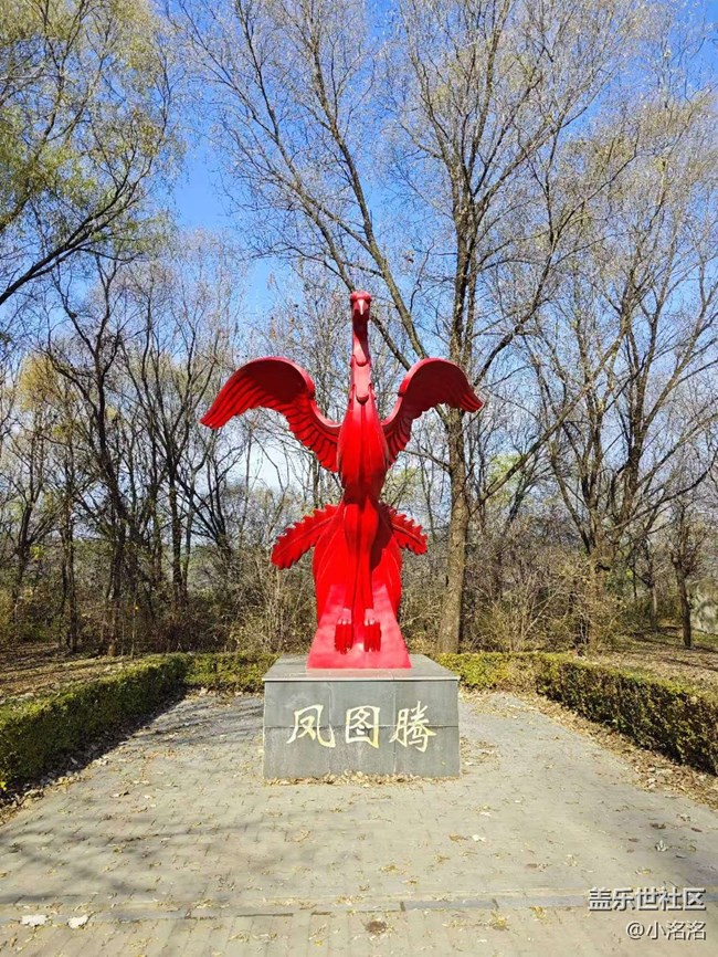 沈阳星部落鸟岛摄影活动回顾