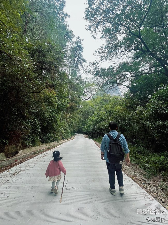 #秋天的道路——尚绿