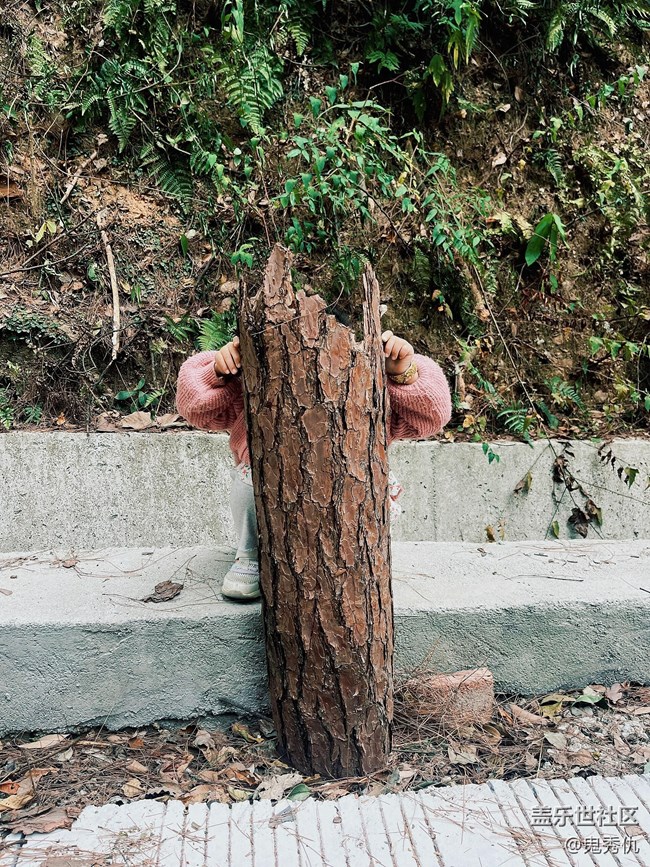 #秋天的道路——尚绿