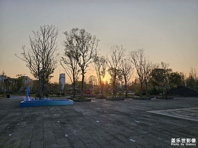 随手拍