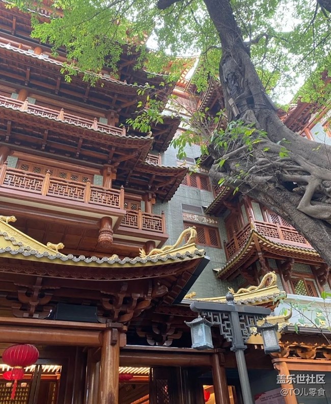 【名胜古迹】大佛古寺