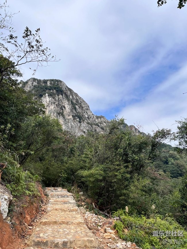 #秋天的道路——尚绿