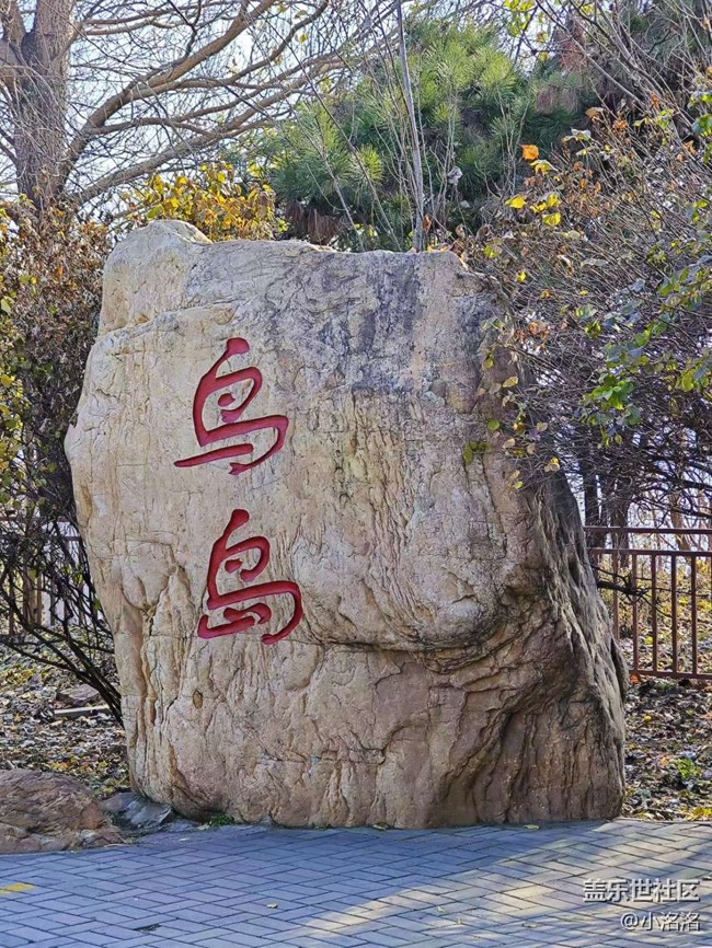 沈阳星部落鸟岛摄影活动回顾