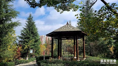【生活礼赞】+ 小城风景