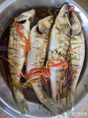 【生活礼赞】+ 犒劳自己