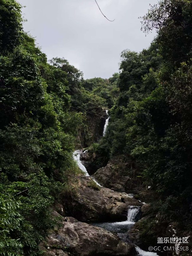 【秋意浓】山涧野采