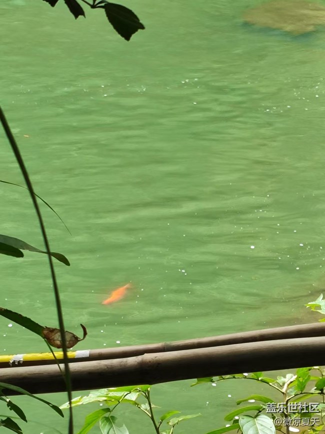 【秋意浓】出去玩