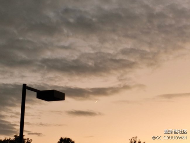 【秋意浓】说走就走