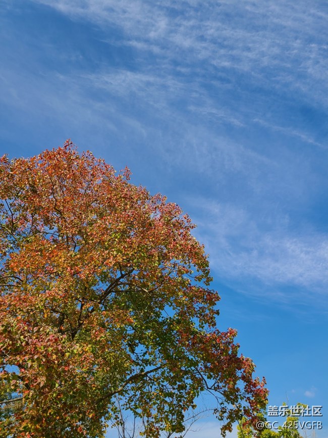 【红韵流彩】红韵秋天