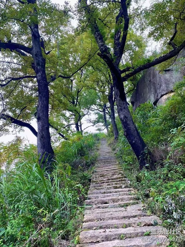 【Galaxy影像】自然的律动+ 爬山