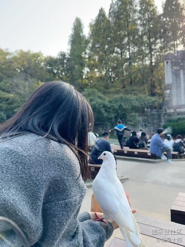 【Galaxy影像】自然的律动+ 喂鸽子