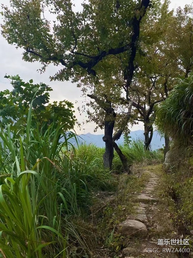 【Galaxy影像】自然的律动+ 爬山