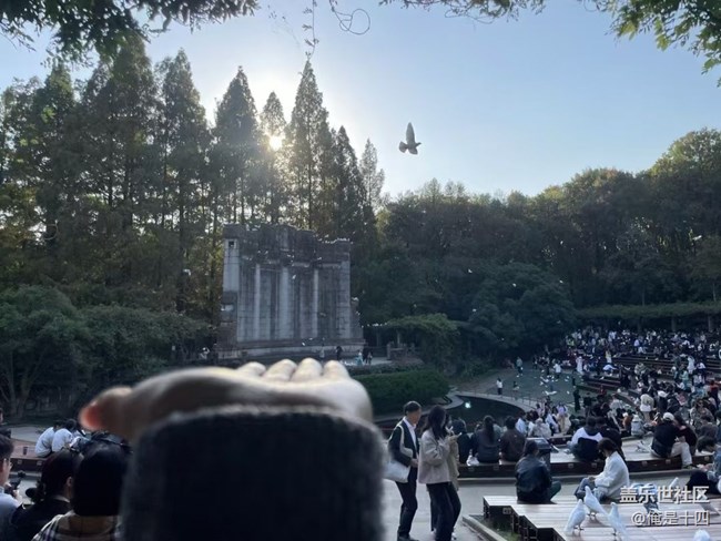 【Galaxy影像】自然的律动+ 喂鸽子