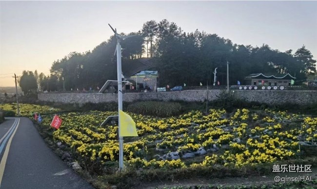 【秋意浓】菊园