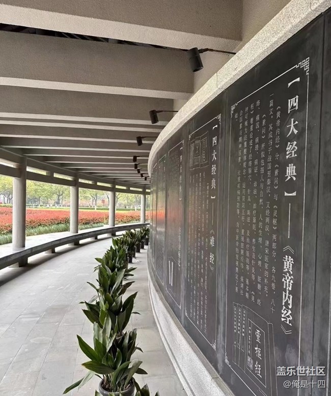 【秋意浓】学校