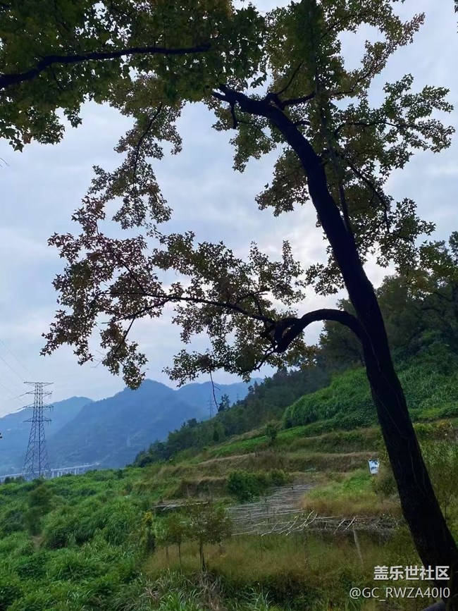 【Galaxy影像】自然的律动+ 爬山