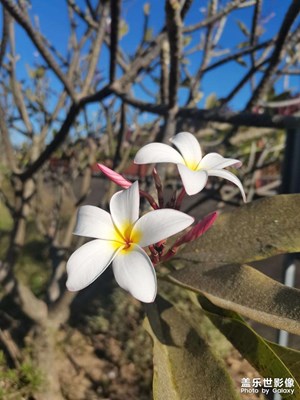 【秋冬时光】暖冬