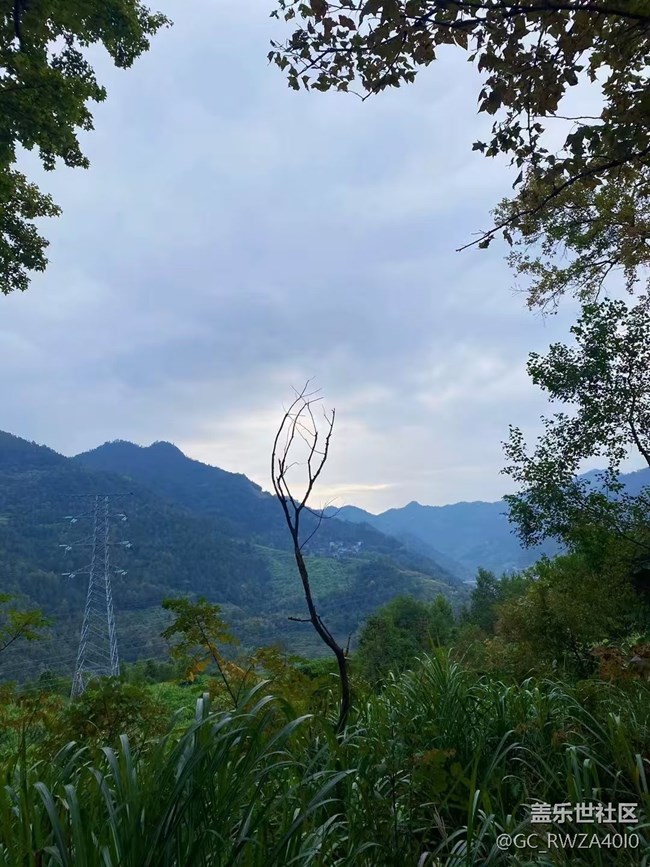 【Galaxy影像】自然的律动+ 爬山