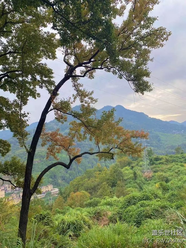 【Galaxy影像】自然的律动+ 爬山