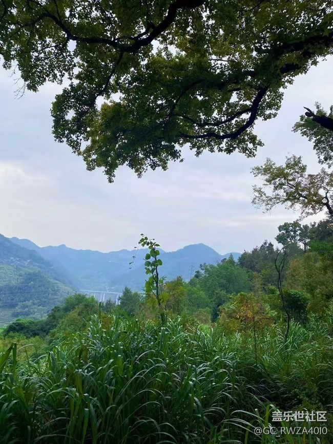 【Galaxy影像】自然的律动+ 爬山