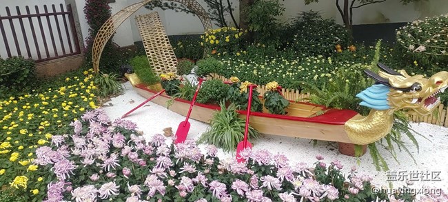 【汇龙潭菊花展线下摄影活动】+摄影回顾