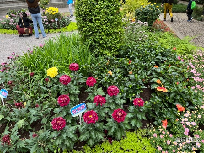 【汇龙潭菊花展线下摄影活动】+活动回顾 【汇龙潭菊花展线下摄影活动】+活动回顾